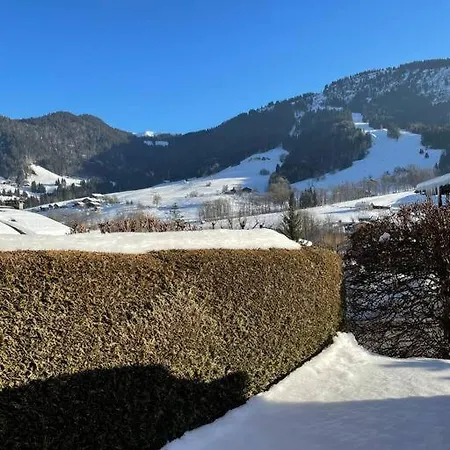 Charmant Studio + Jardin Vue Pistes Et Local Velo Praz-sur-Arly Buitenkant foto