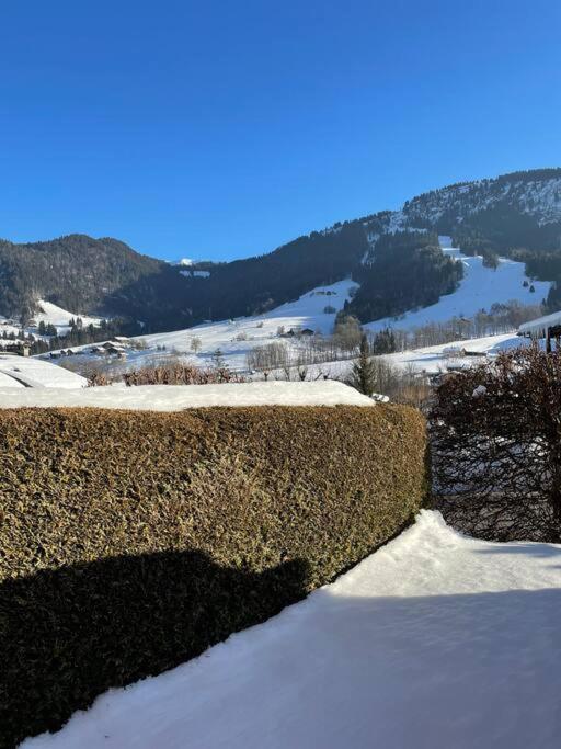 Appartement + Jardin Vue Pistes Et Local Velo *