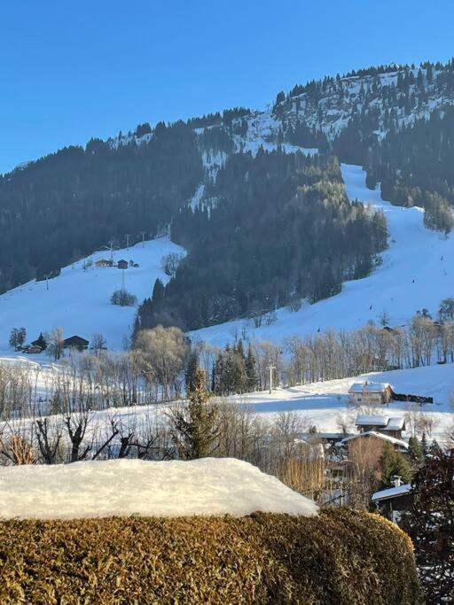 + Jardin Vue Pistes Et Local Velo Appartement