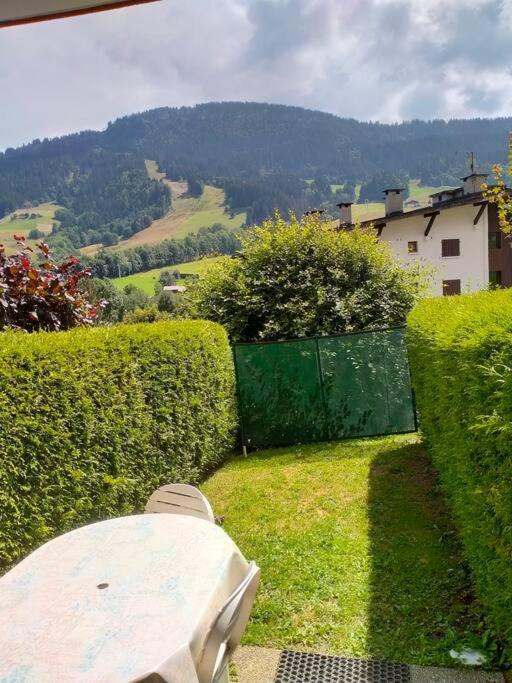 + Jardin Vue Pistes Et Local Velo * Praz-sur-Arly